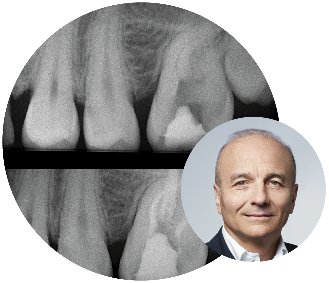 icona corso berruti_h200png